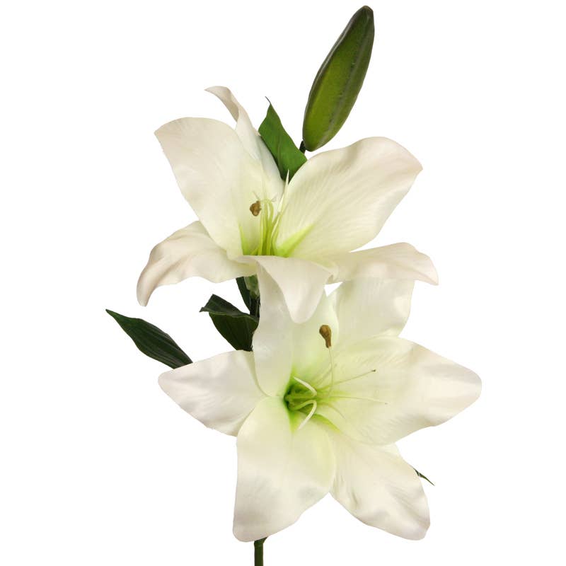 Lily x 2, 66 cm white
