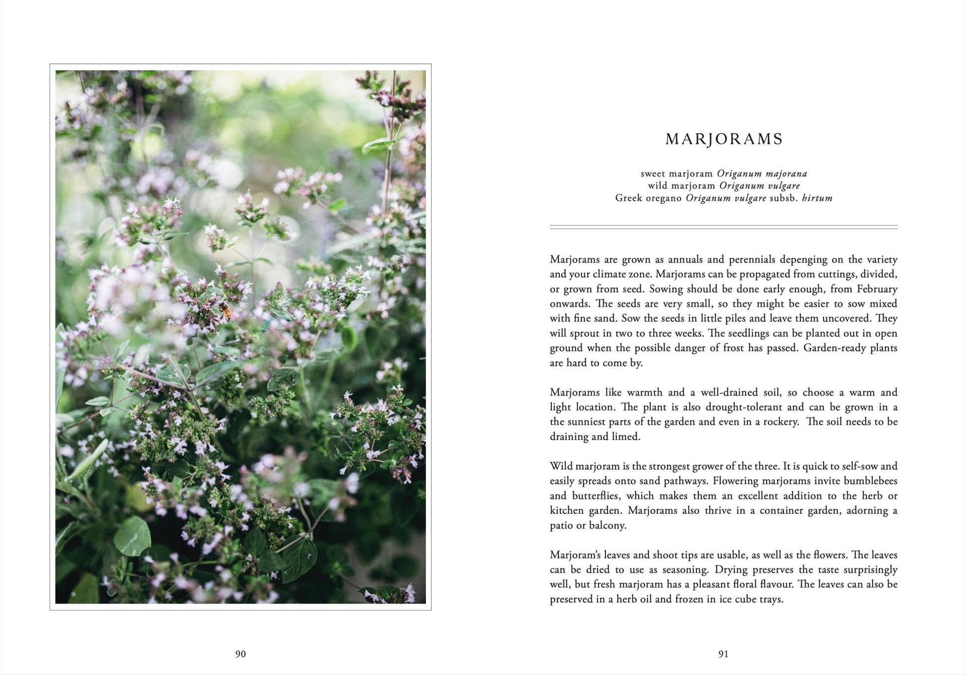 Living with Herbs - LUXONAS