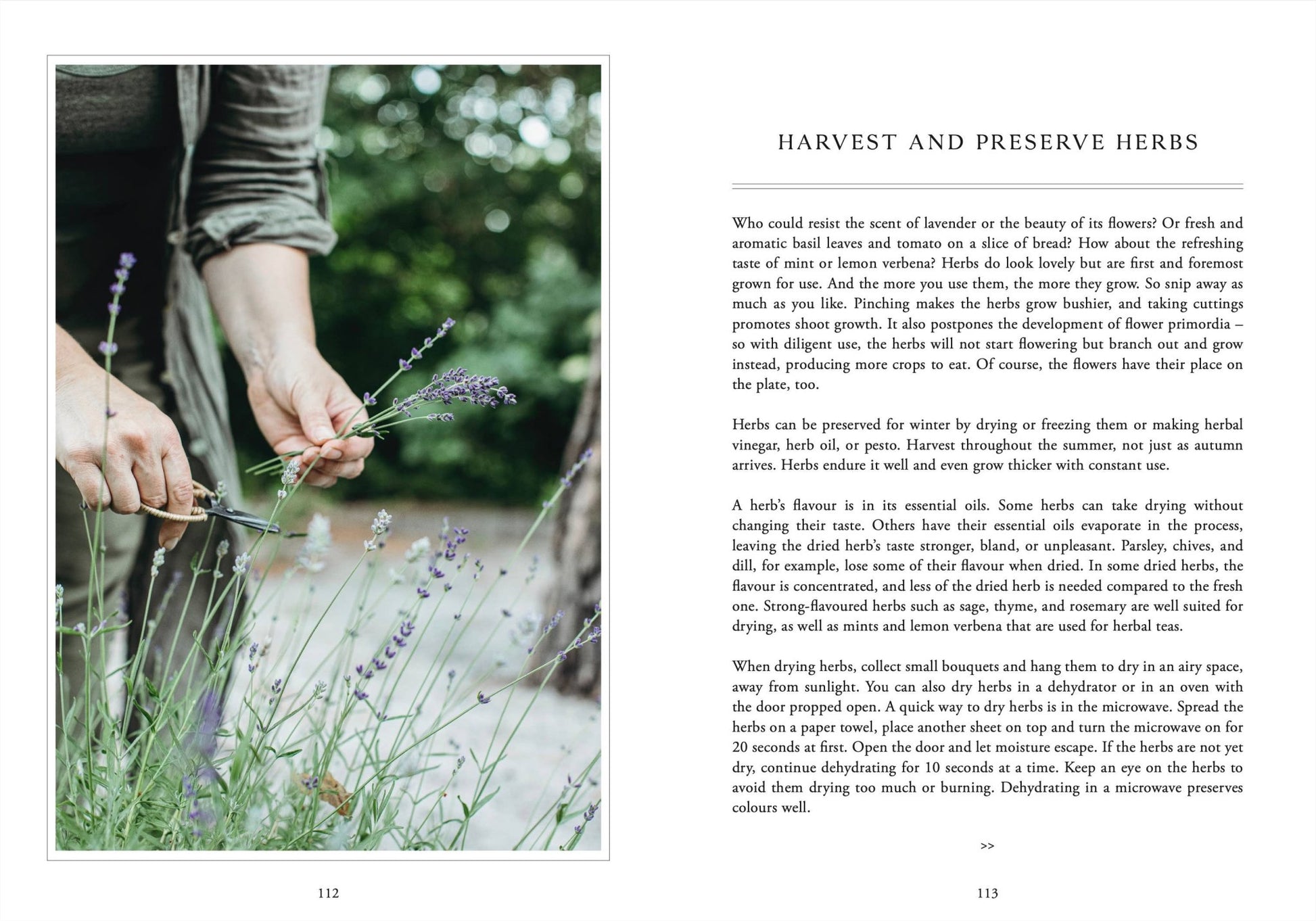 Living with Herbs - LUXONAS