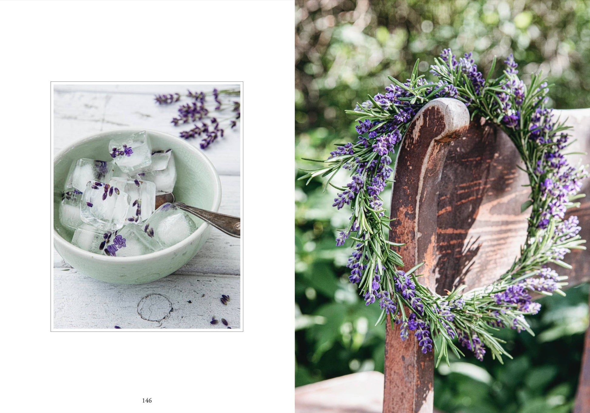 Living with Herbs - LUXONAS