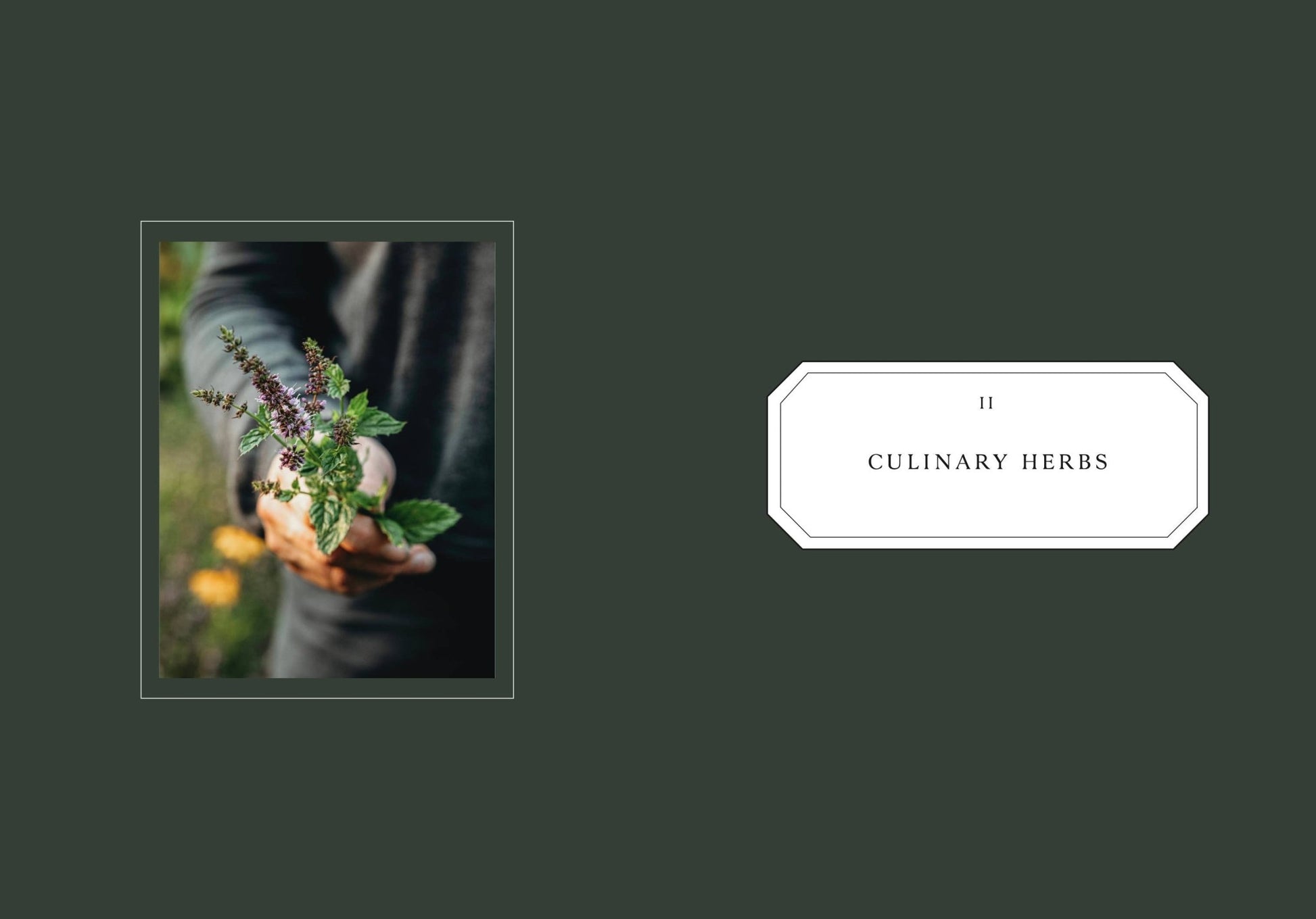 Living with Herbs - LUXONAS