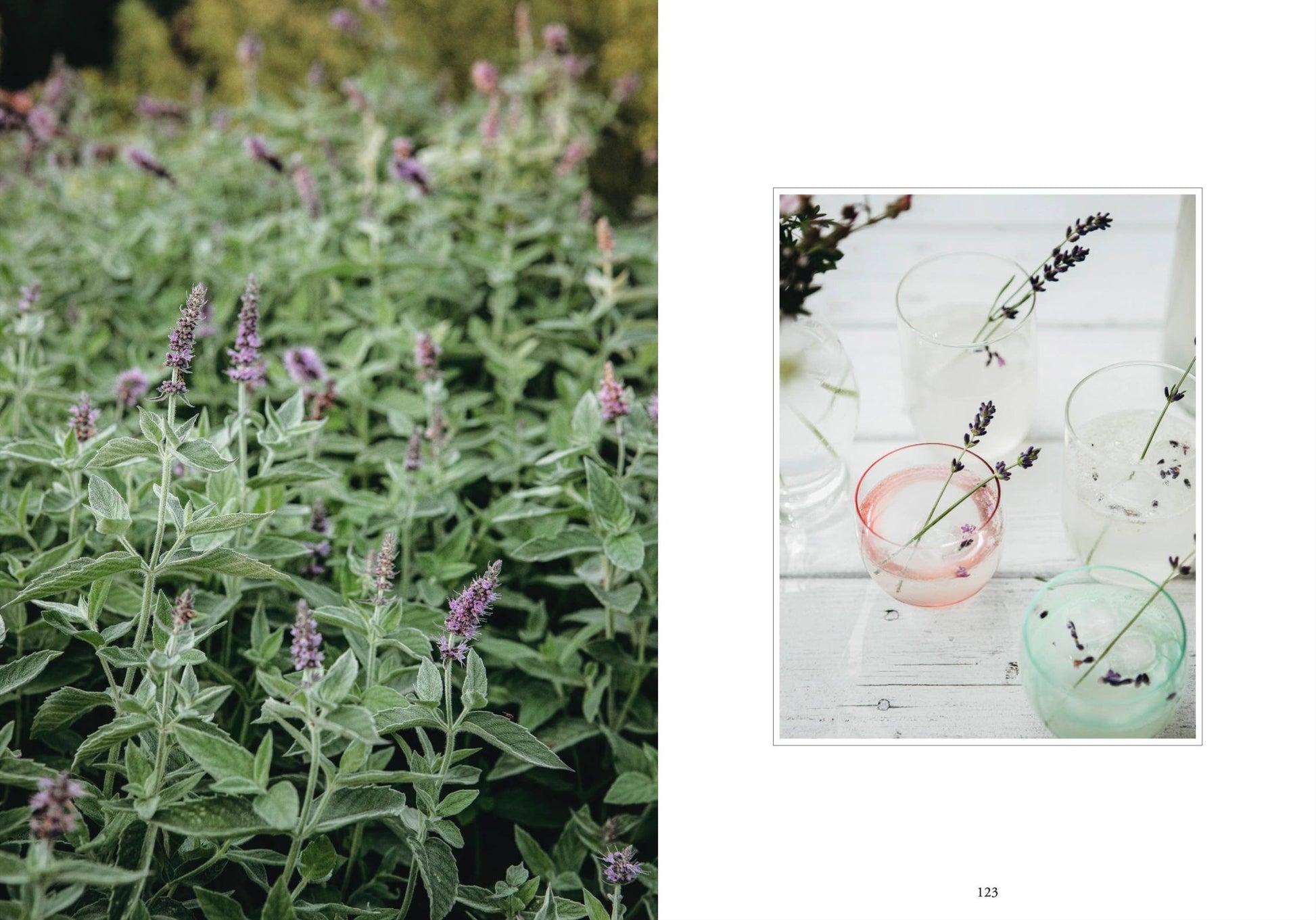 Living with Herbs - LUXONAS