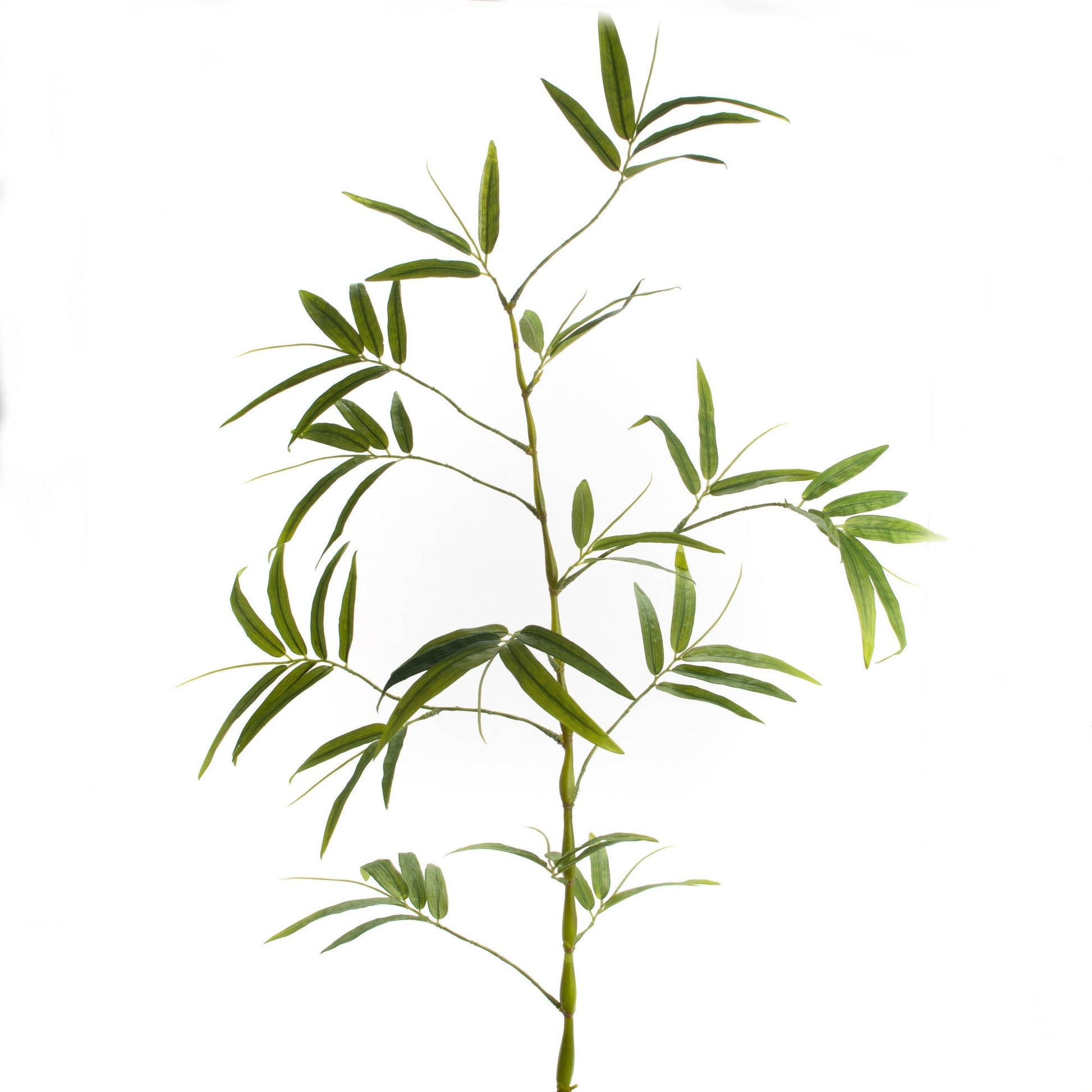 Lucky Bamboo Branch 144cm - Faux Botanical Decor