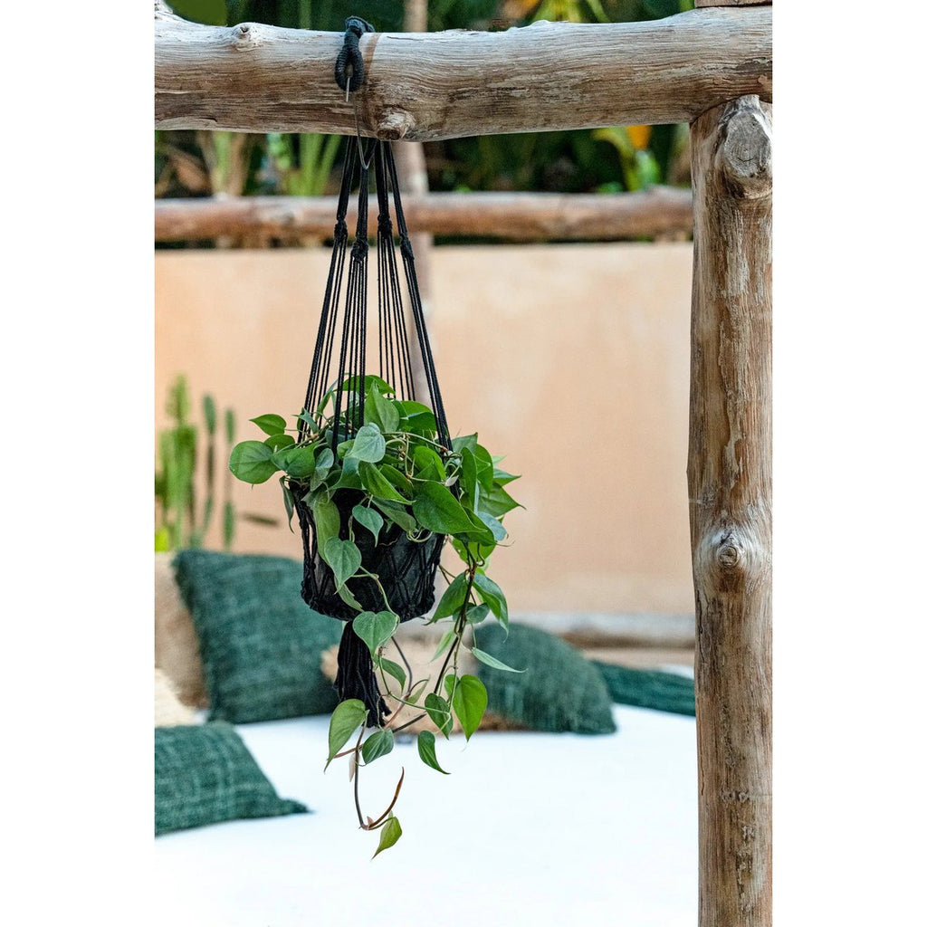 Macrame Plant Holder - Black - S - LUXONAS HOME