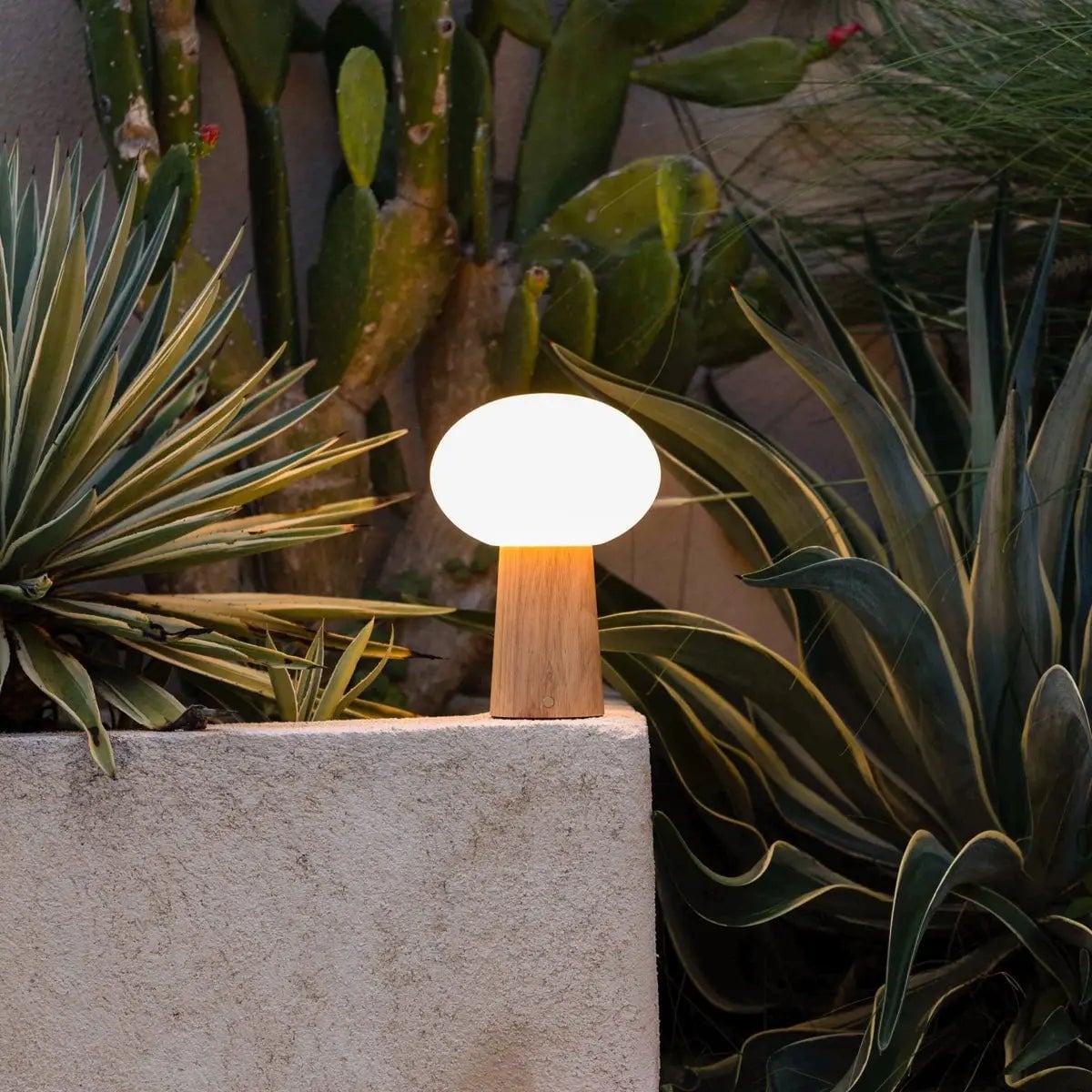 Max Light Brown Wooden Cordless Table Lamp | Rechargeable, Glass & Sustainable Design - LUXONAS HOME