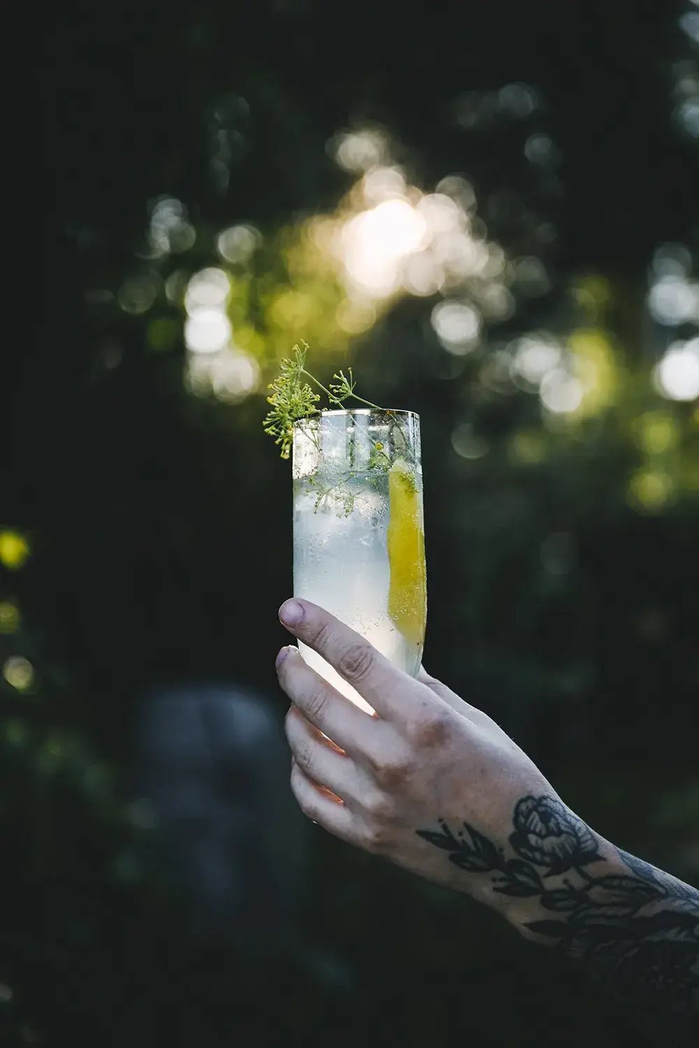 MENU – Recipes for Shared Moments Cookbook - LUXONAS