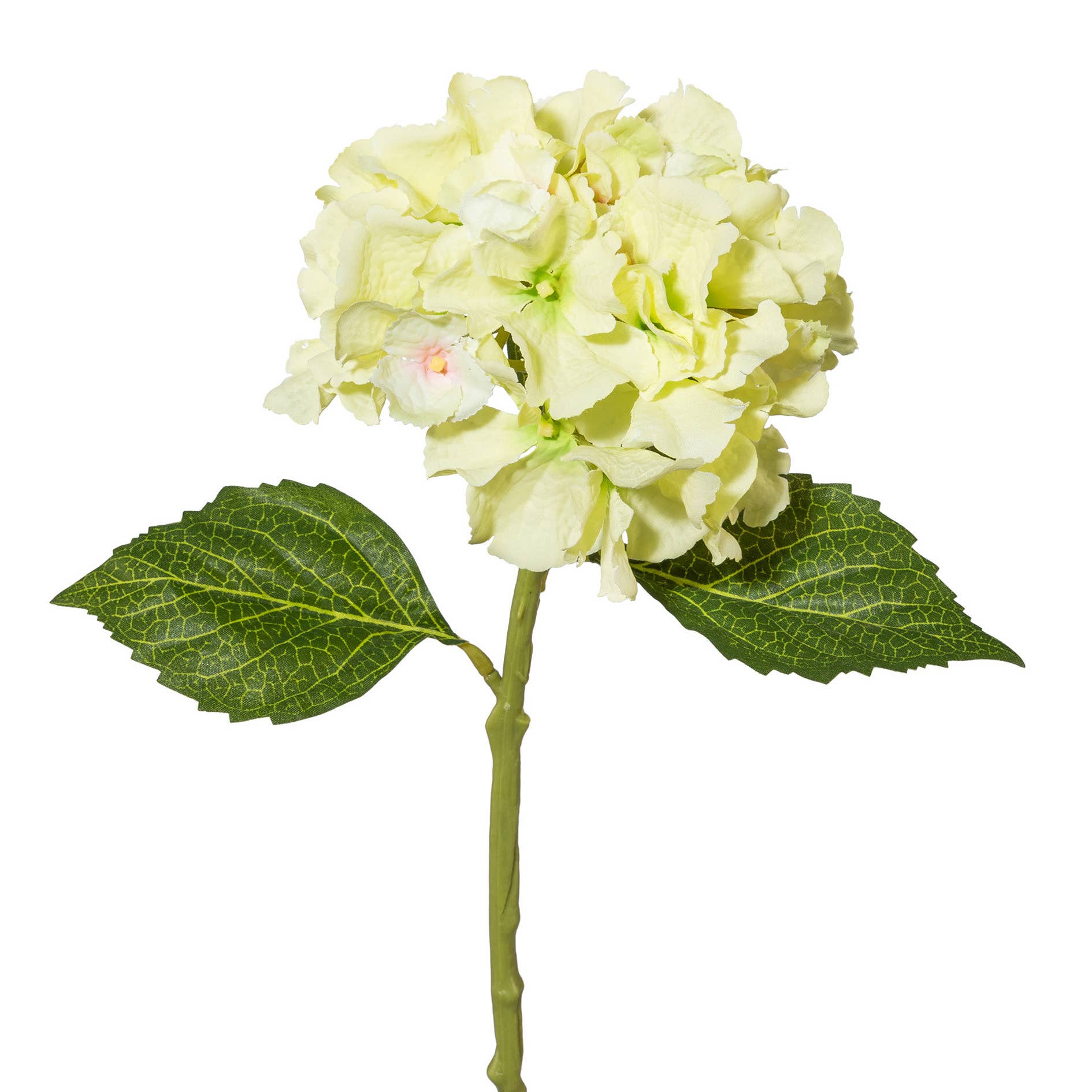 Mini Hydrangea 33cm - LUXONAS