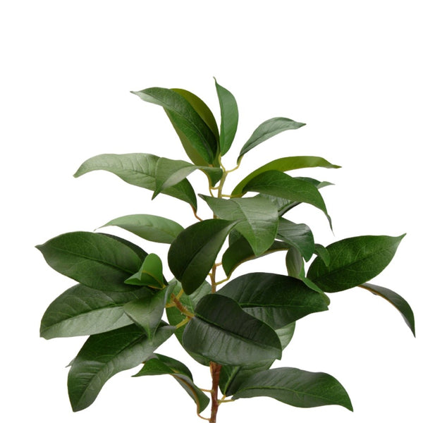 Noble Lorel Branch 59cm - Elegant Faux Botanical Accent