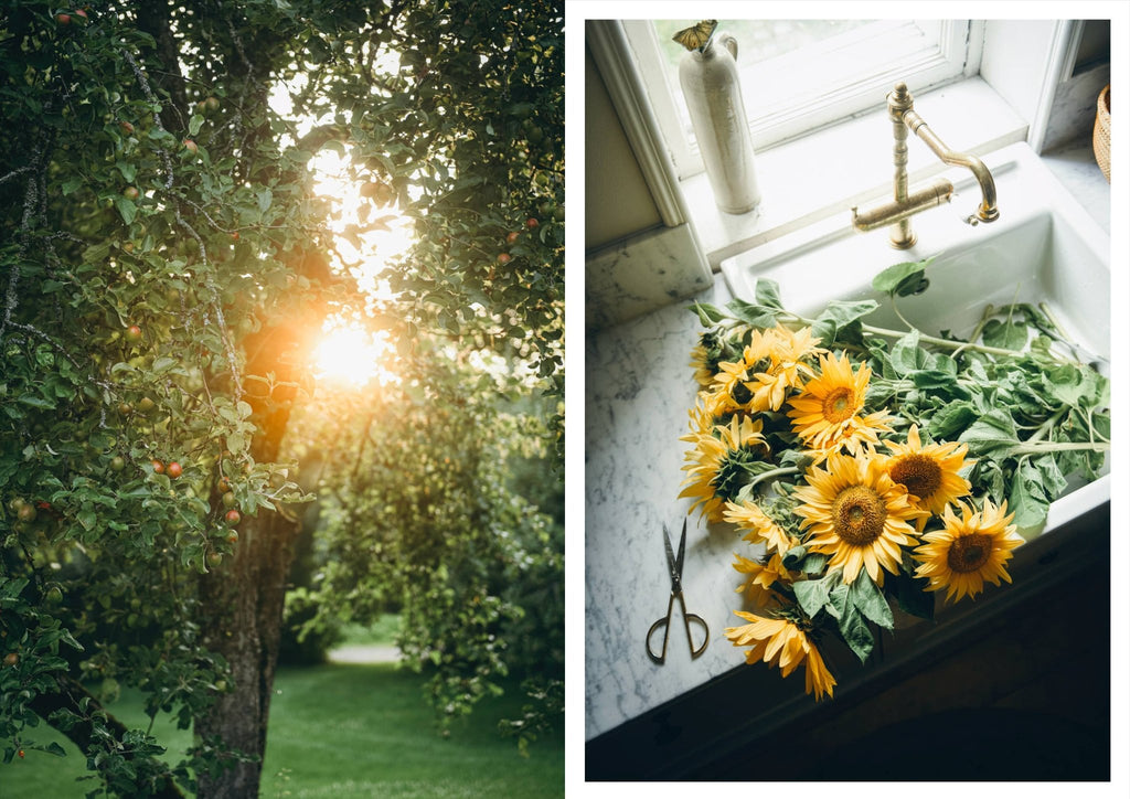 Nordic Summer Cookbook - LUXONAS