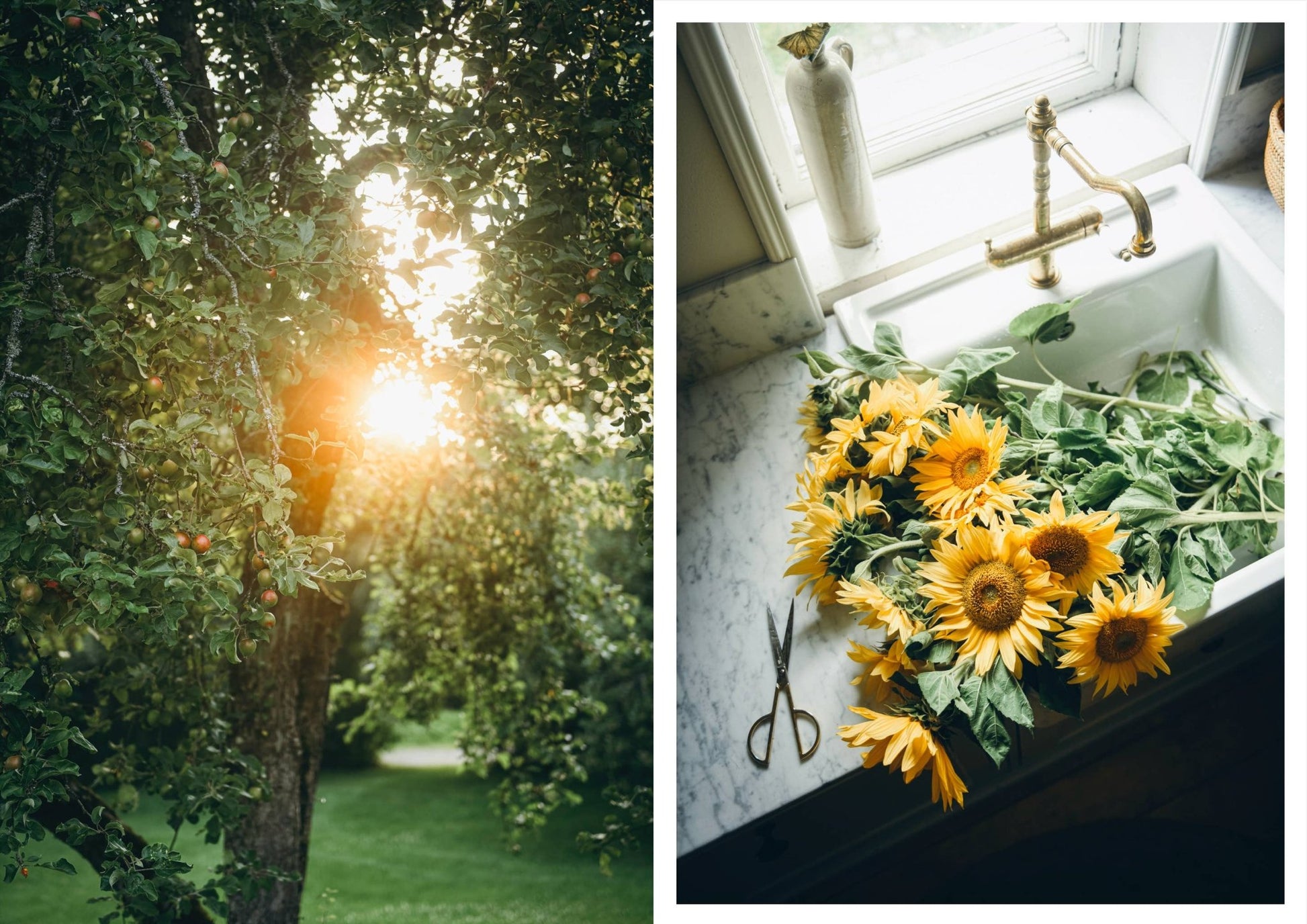 Nordic Summer Cookbook - LUXONAS