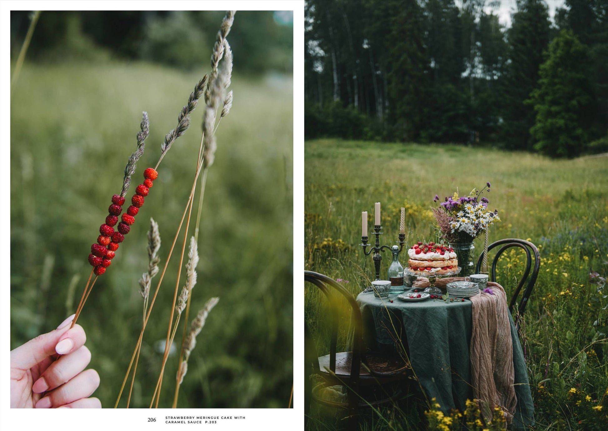 Nordic Summer Cookbook - LUXONAS
