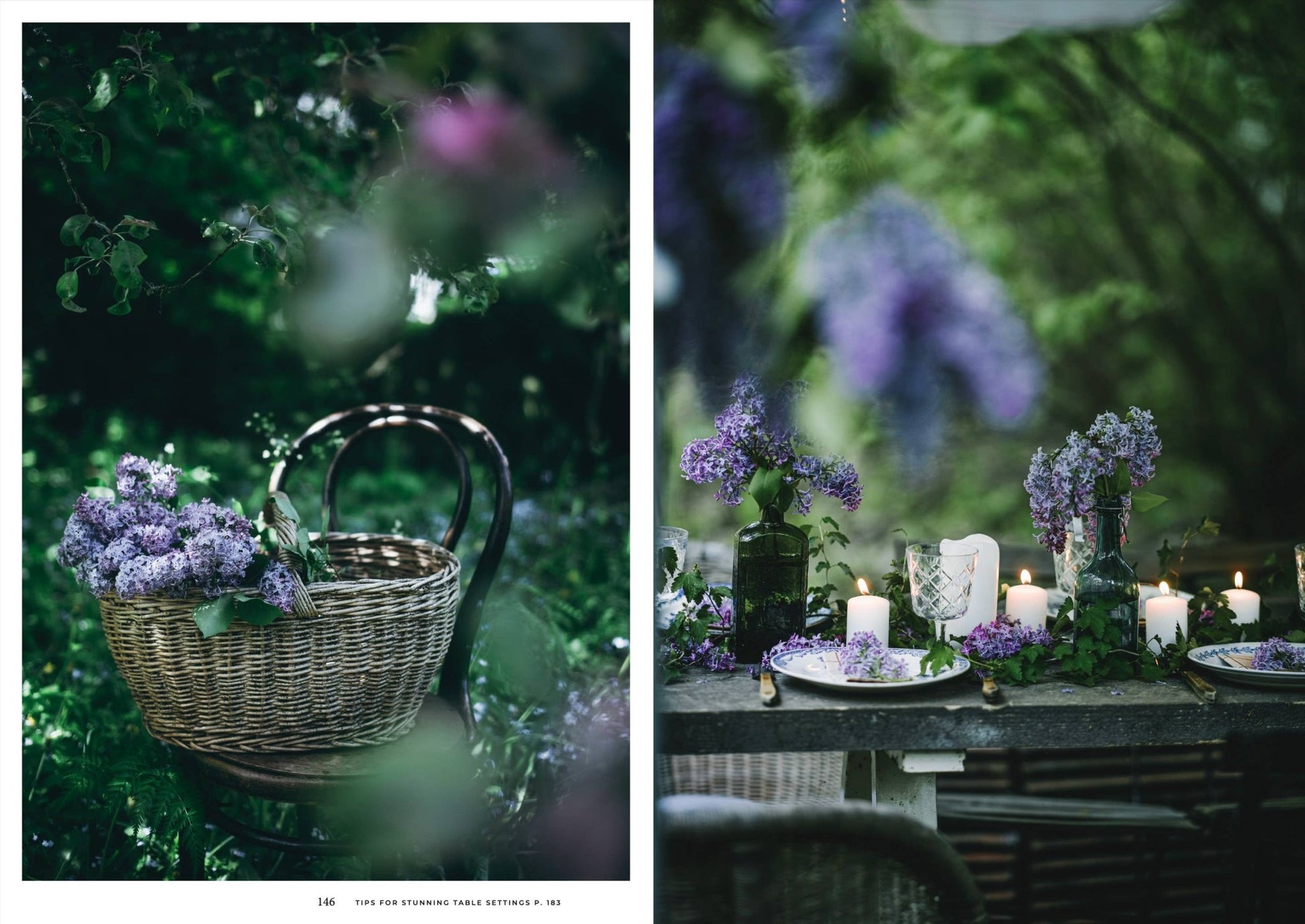 Nordic Summer Cookbook - LUXONAS