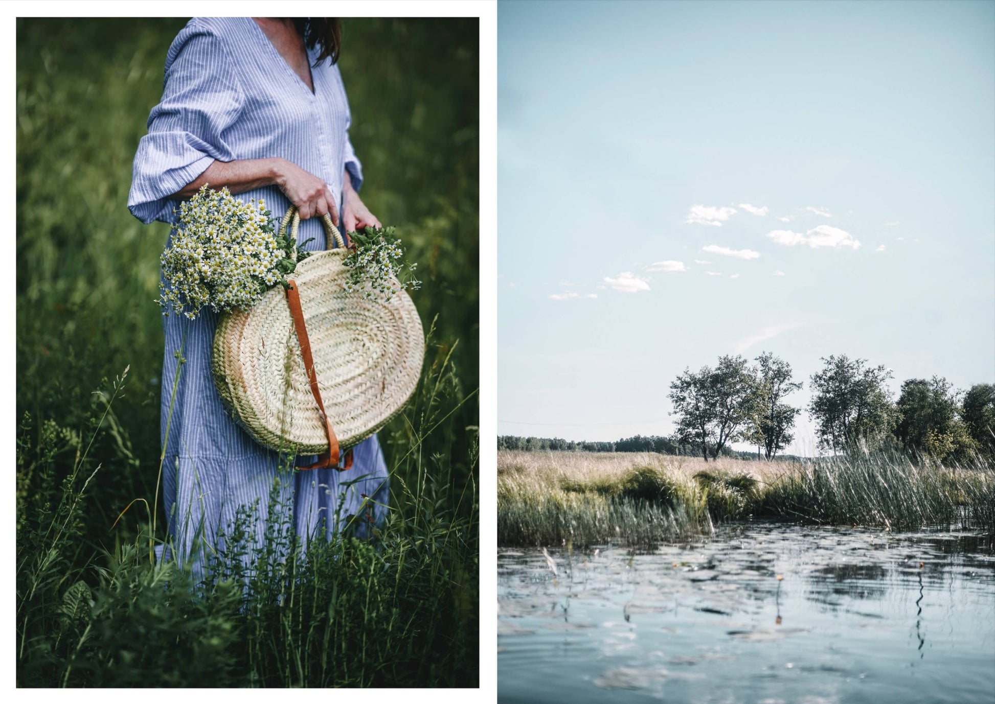 Nordic Summer Cookbook - LUXONAS