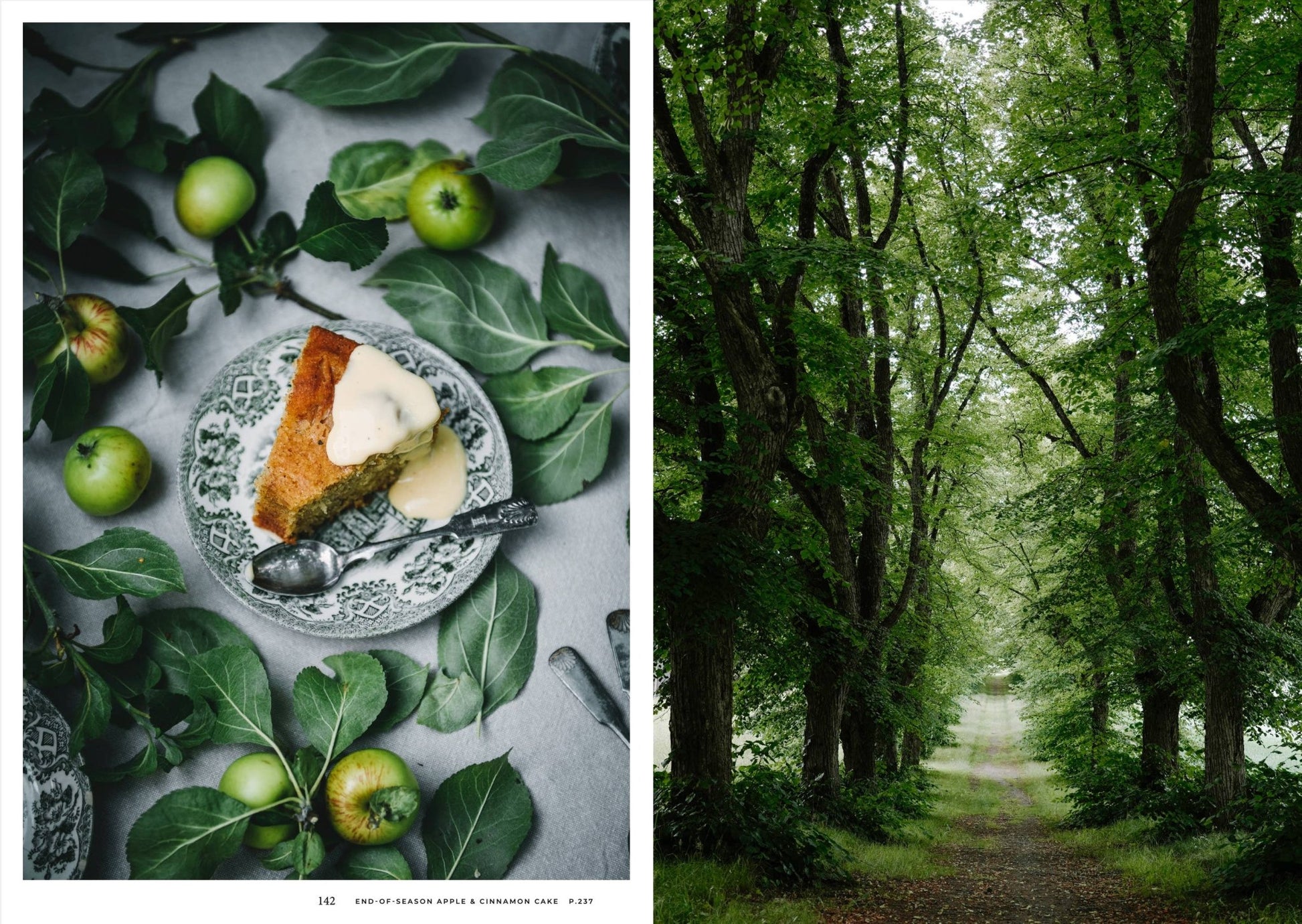 Nordic Summer Cookbook - LUXONAS