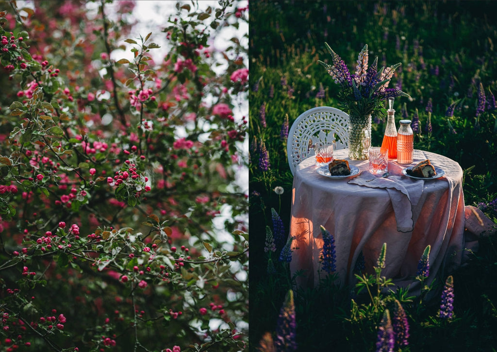 Nordic Summer Cookbook - LUXONAS