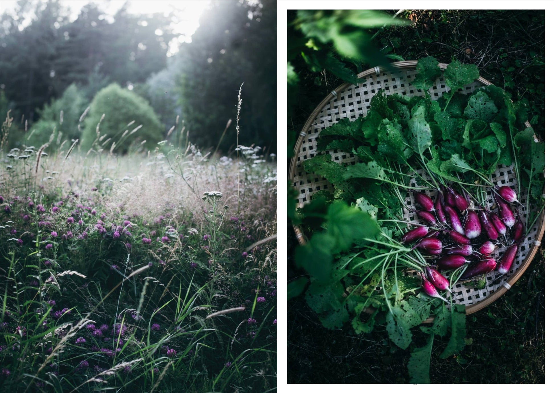 Nordic Summer Cookbook - LUXONAS