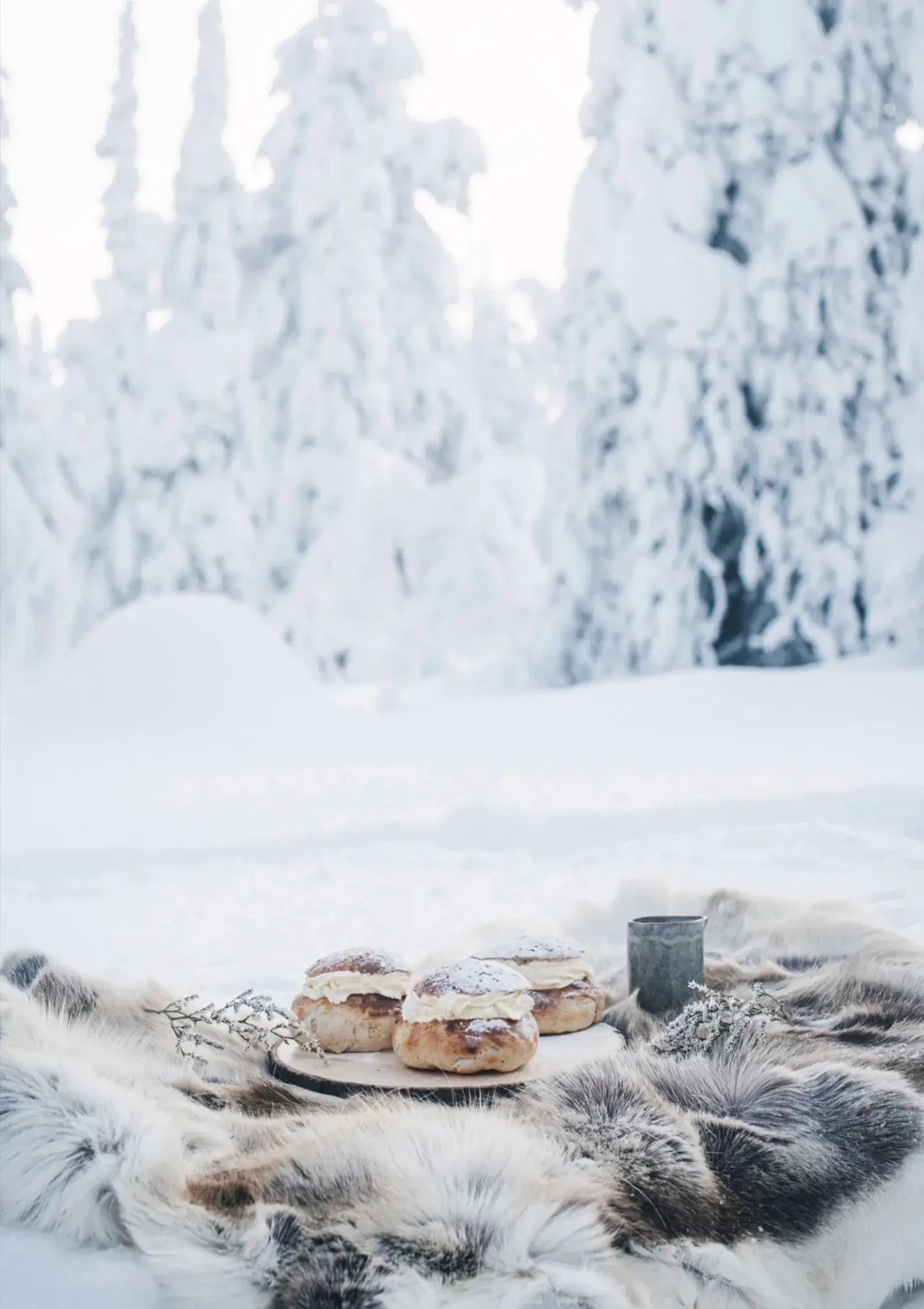 Nordic Winter Cookbook - LUXONAS