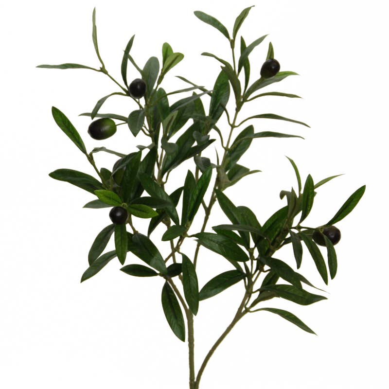 Olive branch 54 cm green