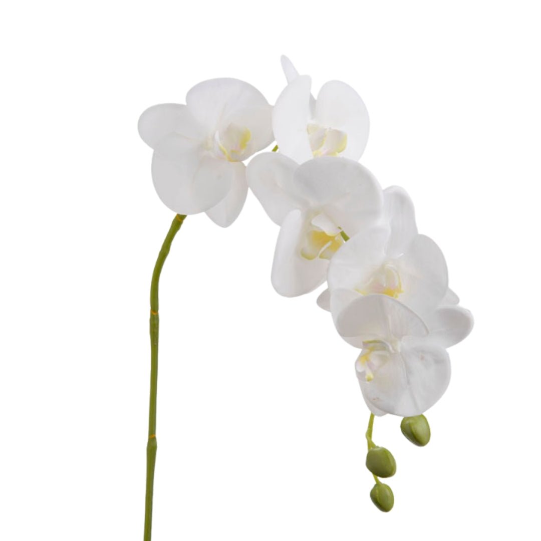 Orchid Phalaenopsis 68cm Stem - Elegant Faux Flower