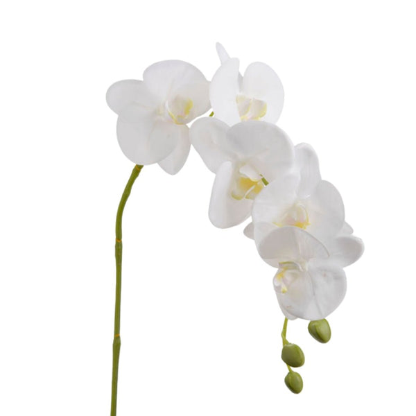 Orchid Phalaenopsis 68cm Stem - Elegant Faux Flower