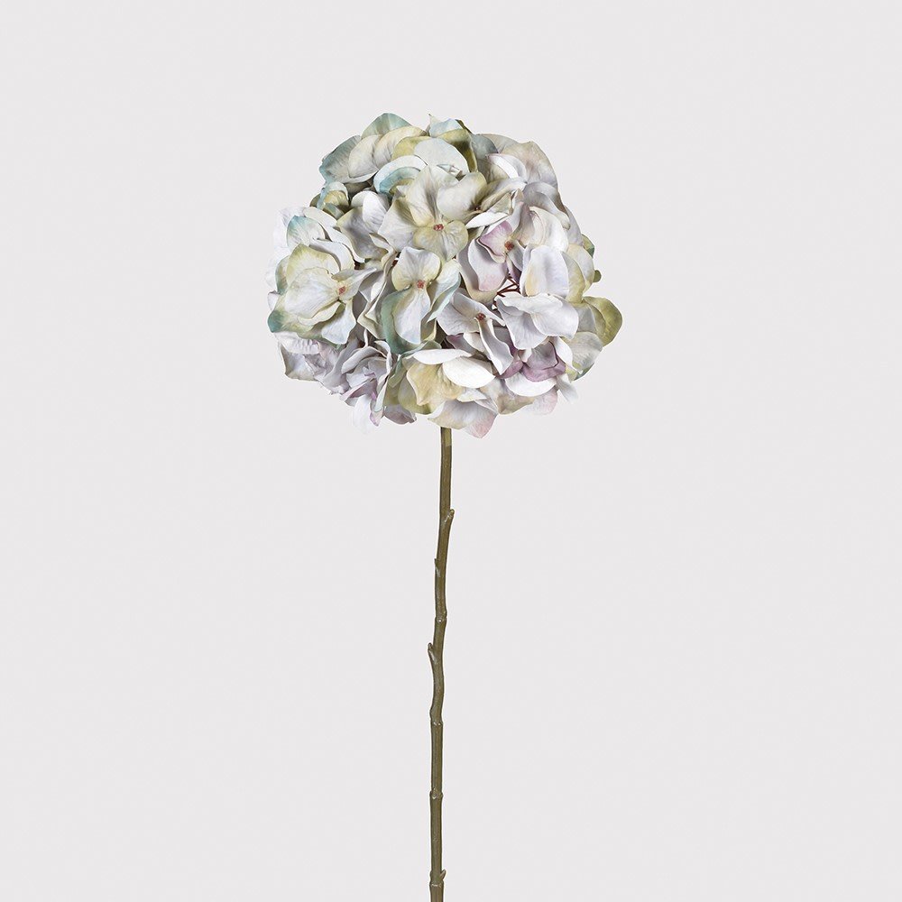 Pale Lavender Hydrangea Stem