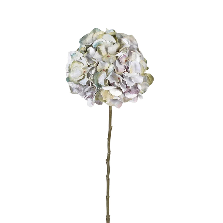 Pale Lavender Hydrangea Stem