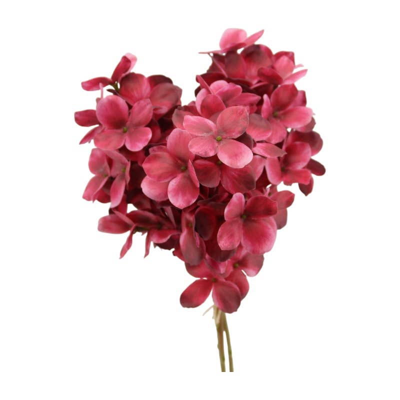 Panicle hydrangea bunch x 3, 30 cm beauty