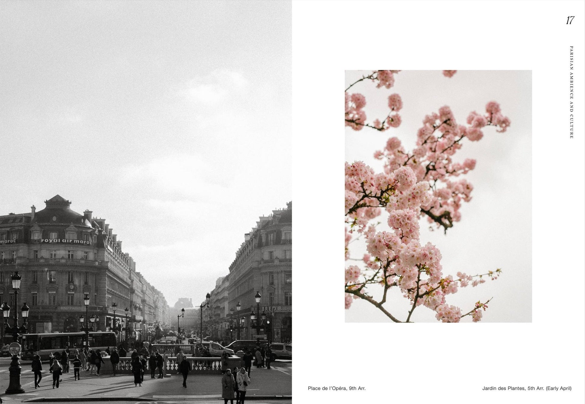 Paris – Dreamy Tips for the City of Love - LUXONAS