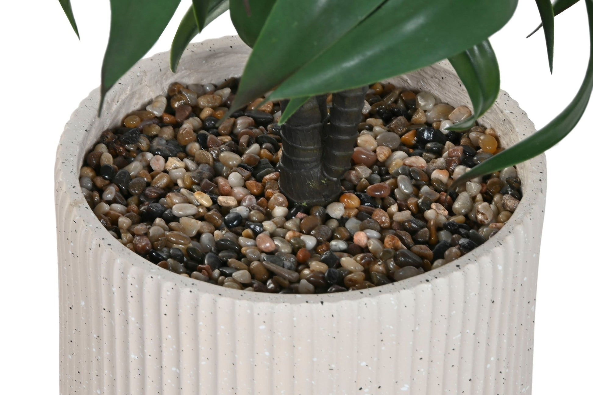 Parlor Palm n/Cream Pot - LUXONAS