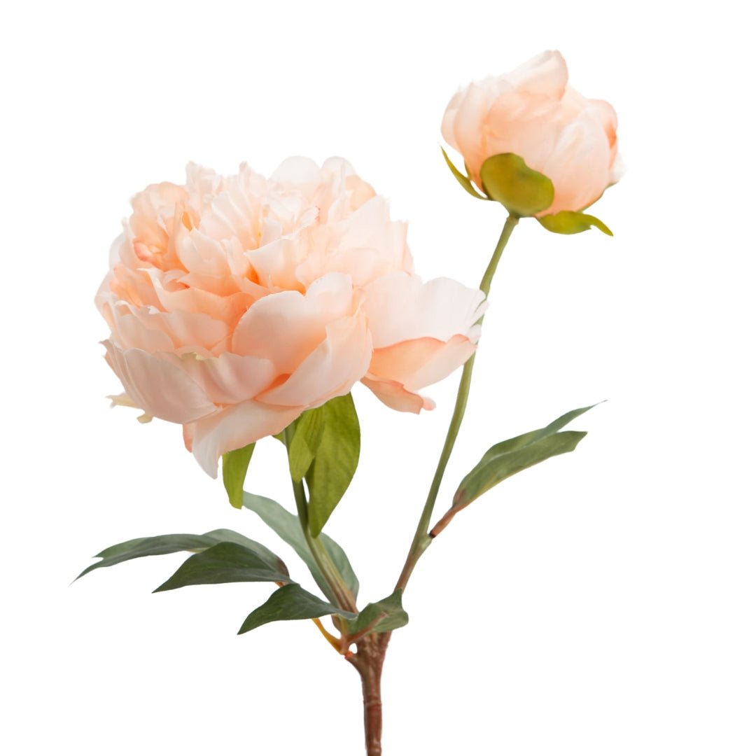 Peach Gloria Peony - 45cm Faux Floral Arrangement