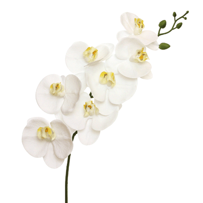 Phalaenopsis 83 cm White - LUXONAS HOME