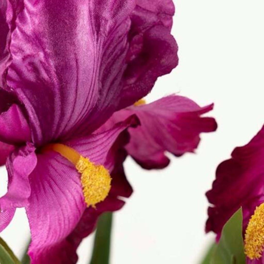 Pink Cattleya Plant in Pot - Elegant Artificial Orchid - LUXONAS