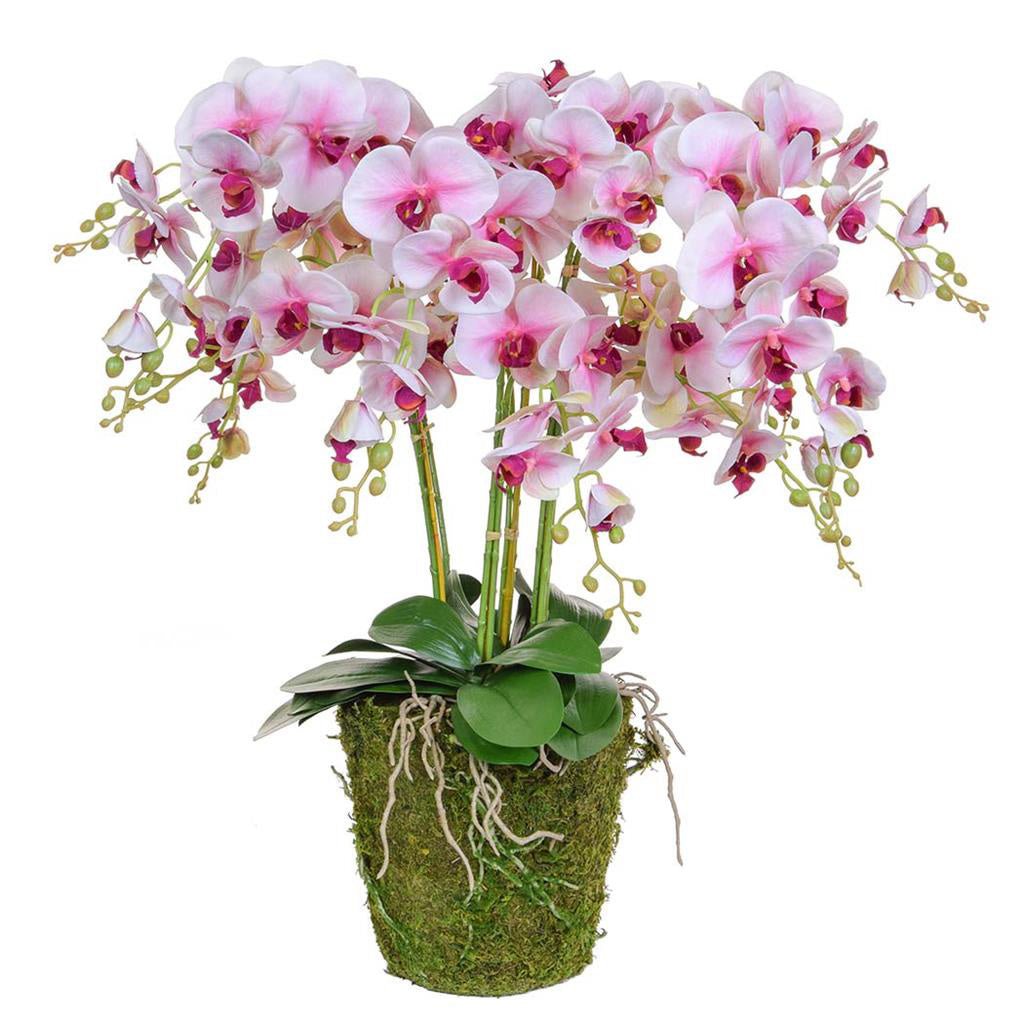 Pink Orchid with Moss Base 90cm - LUXONAS