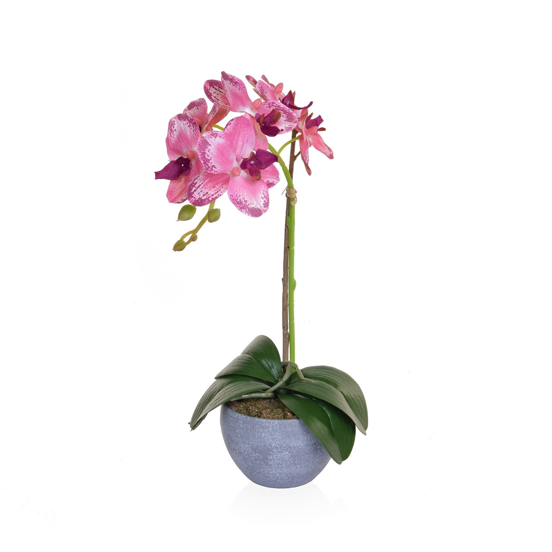 Pink Single Orchid in Pot - 47cm - LUXONAS