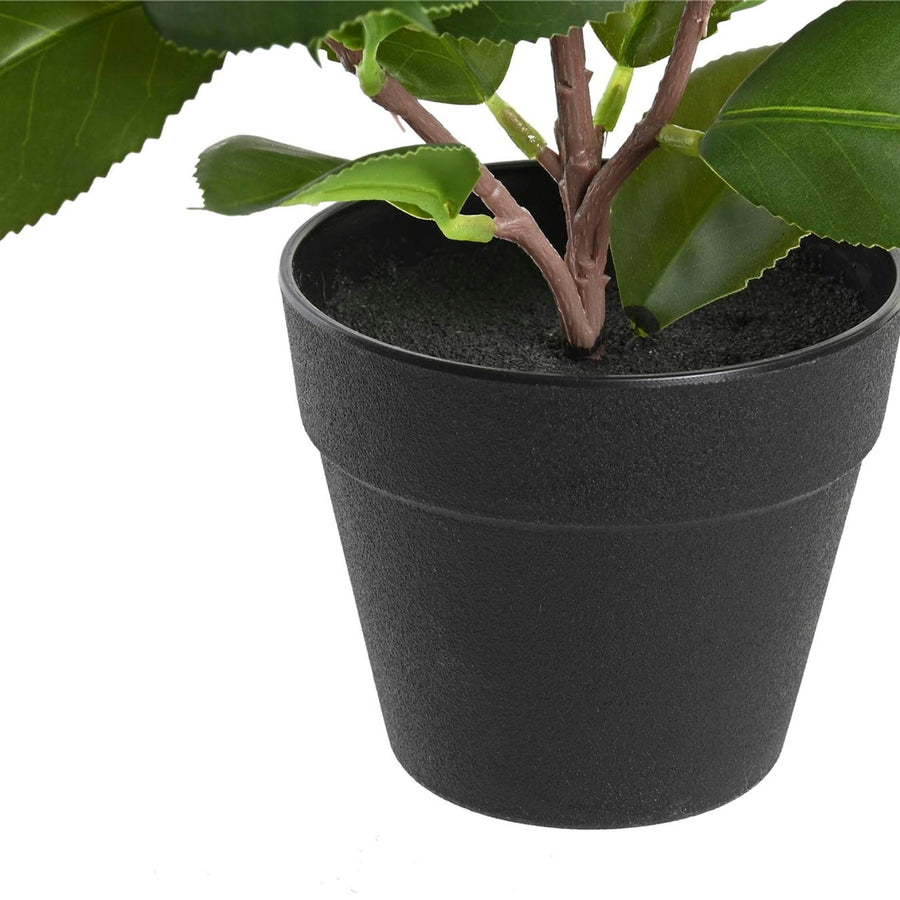 Plant Pot Made of Polyethylene and Polypropylene
