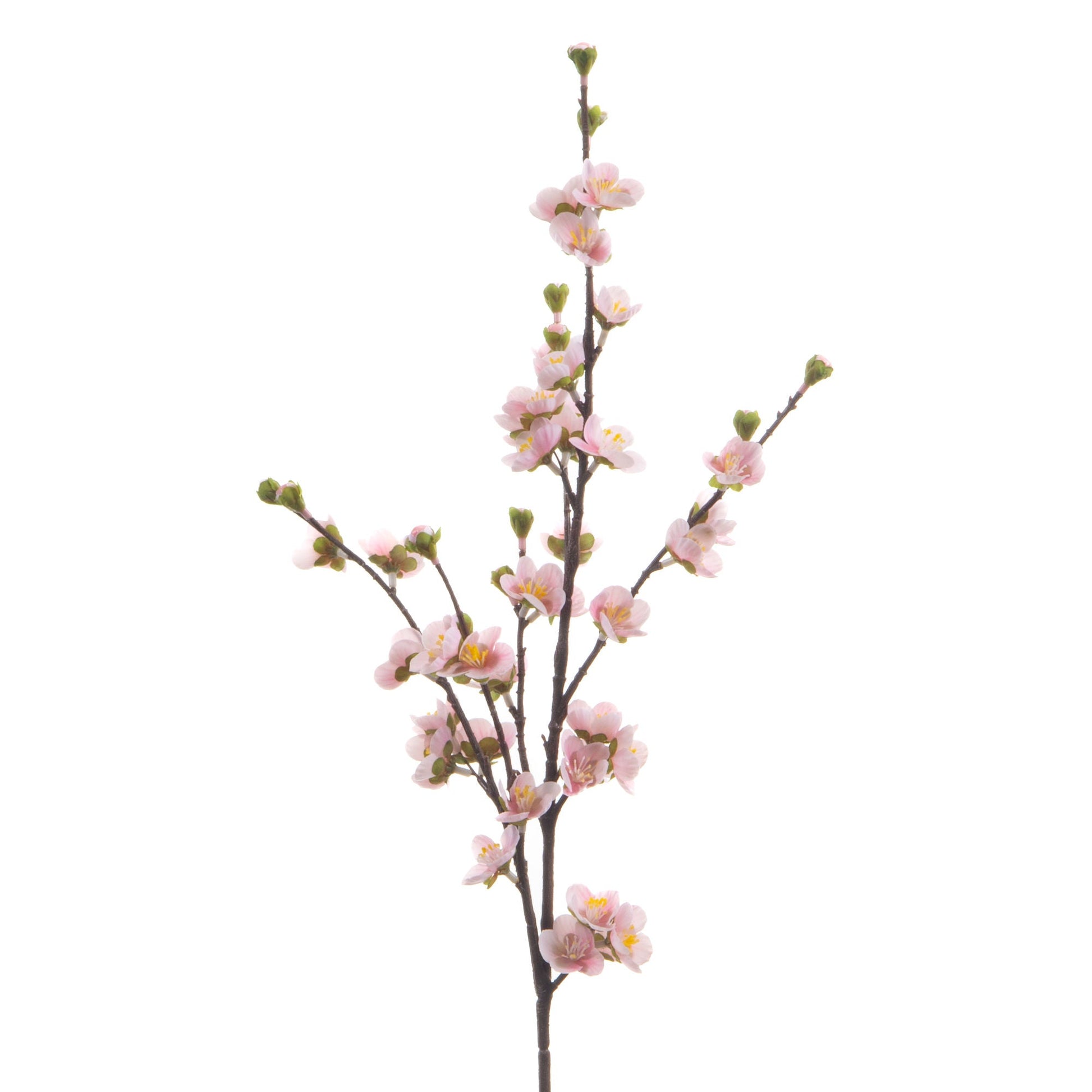 Prunier Pink Flower Stem - 80cm Elegant Faux Floral Accent