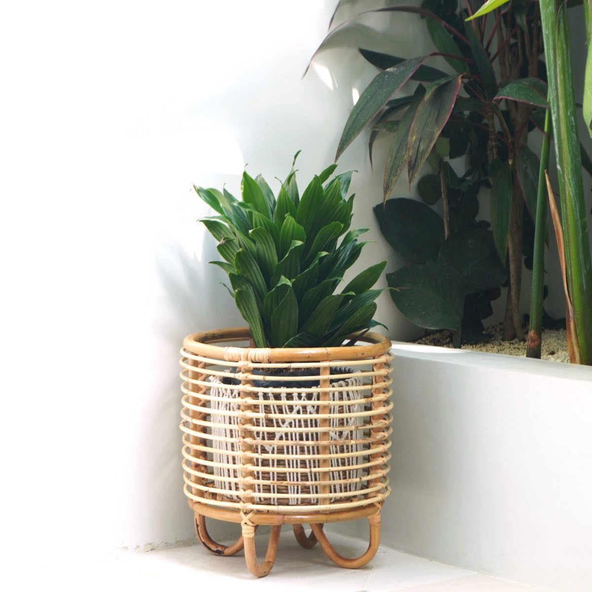 Rattan Plant Stand Planter Flower Pot Holder MALANG beige - LUXONAS HOME