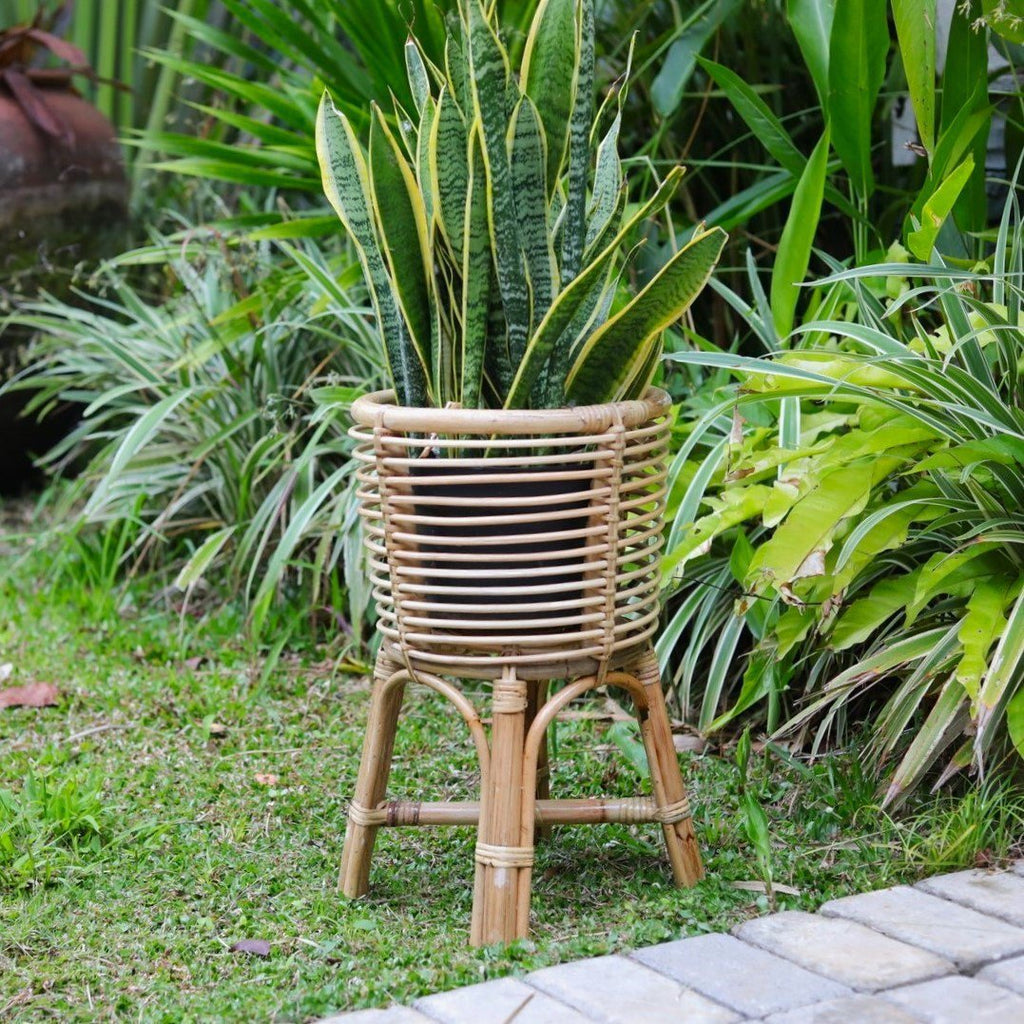 Rattan Plant Stand Round – Boho Planter – Rattan Plant Basket – Natural Flower Stand for Pots up to Ø20 cm AKARA - LUXONAS HOME