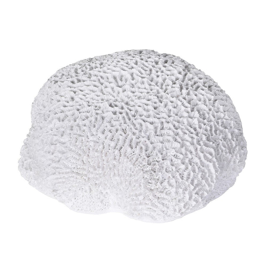 Rinena Coral Decorative Piece