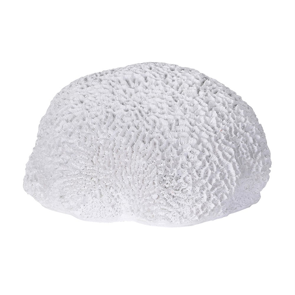 Rinena Coral Decorative Piece