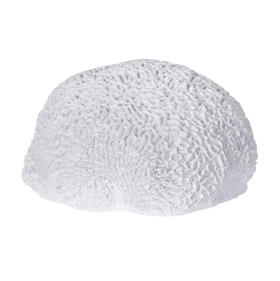 Rinena Coral Decorative Piece