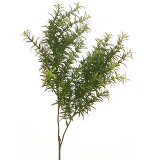 Rosemary branch 65 cm green