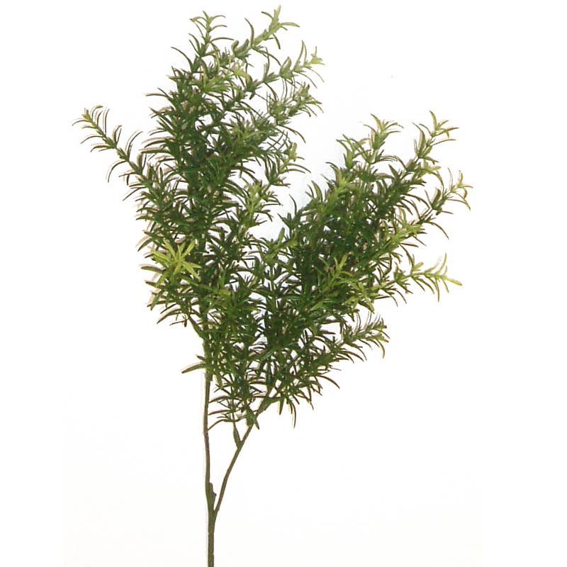 Rosemary branch 65 cm green