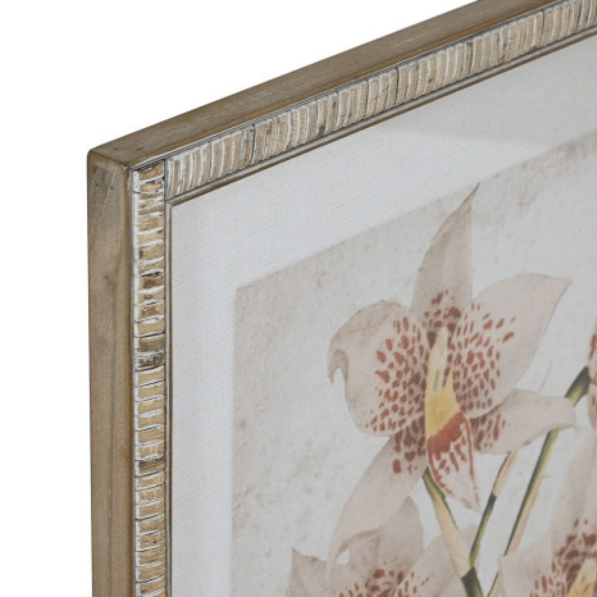 S/2 Orchid Frames - LUXONAS