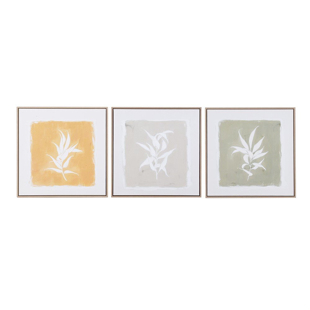 S/3 Foliage Framed Canvas Set