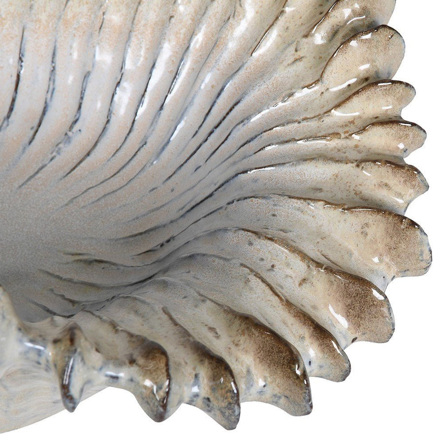 Sunray Shell Bowl