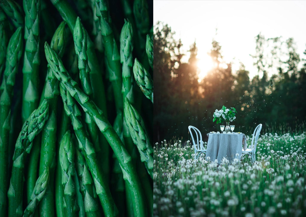 The Art of Fun Dining - Cookbook - LUXONAS