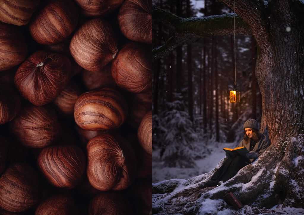 The Art of Fun Dining - Cookbook - LUXONAS