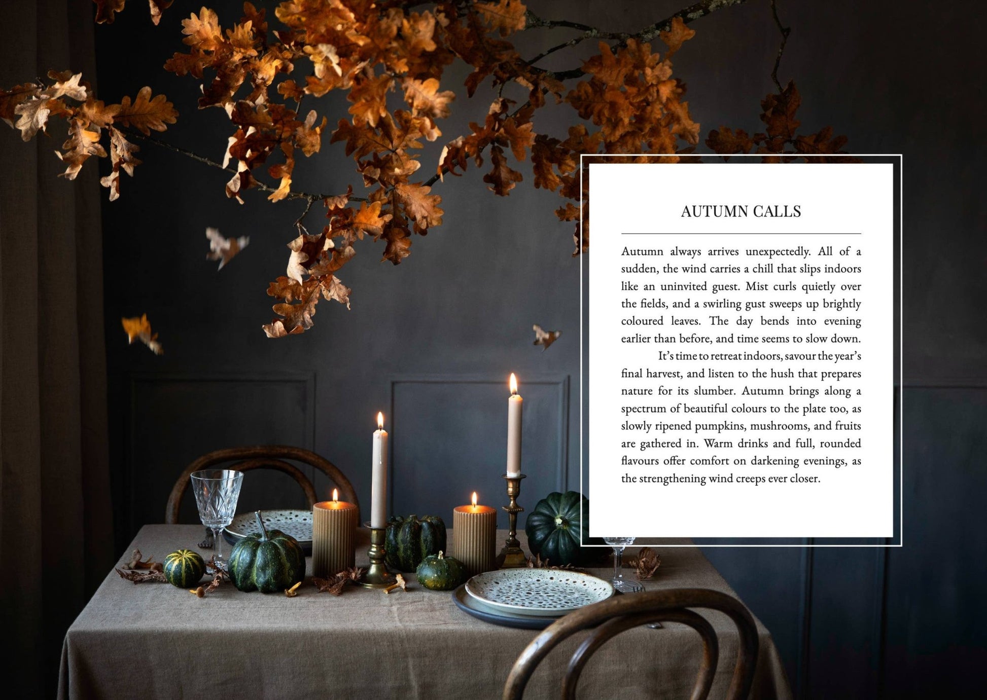 The Art of Fun Dining - Cookbook - LUXONAS