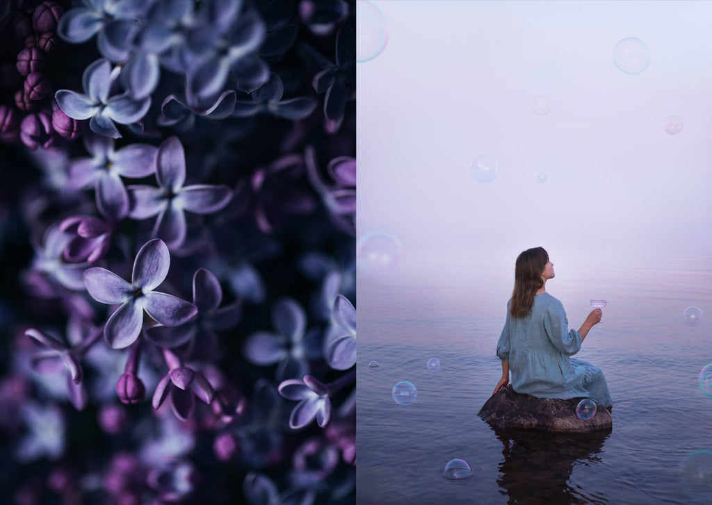 The Art of Fun Dining - Cookbook - LUXONAS